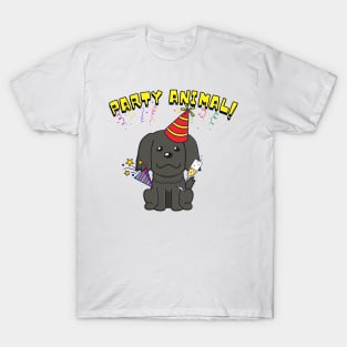 Party Animal Sheepdog T-Shirt